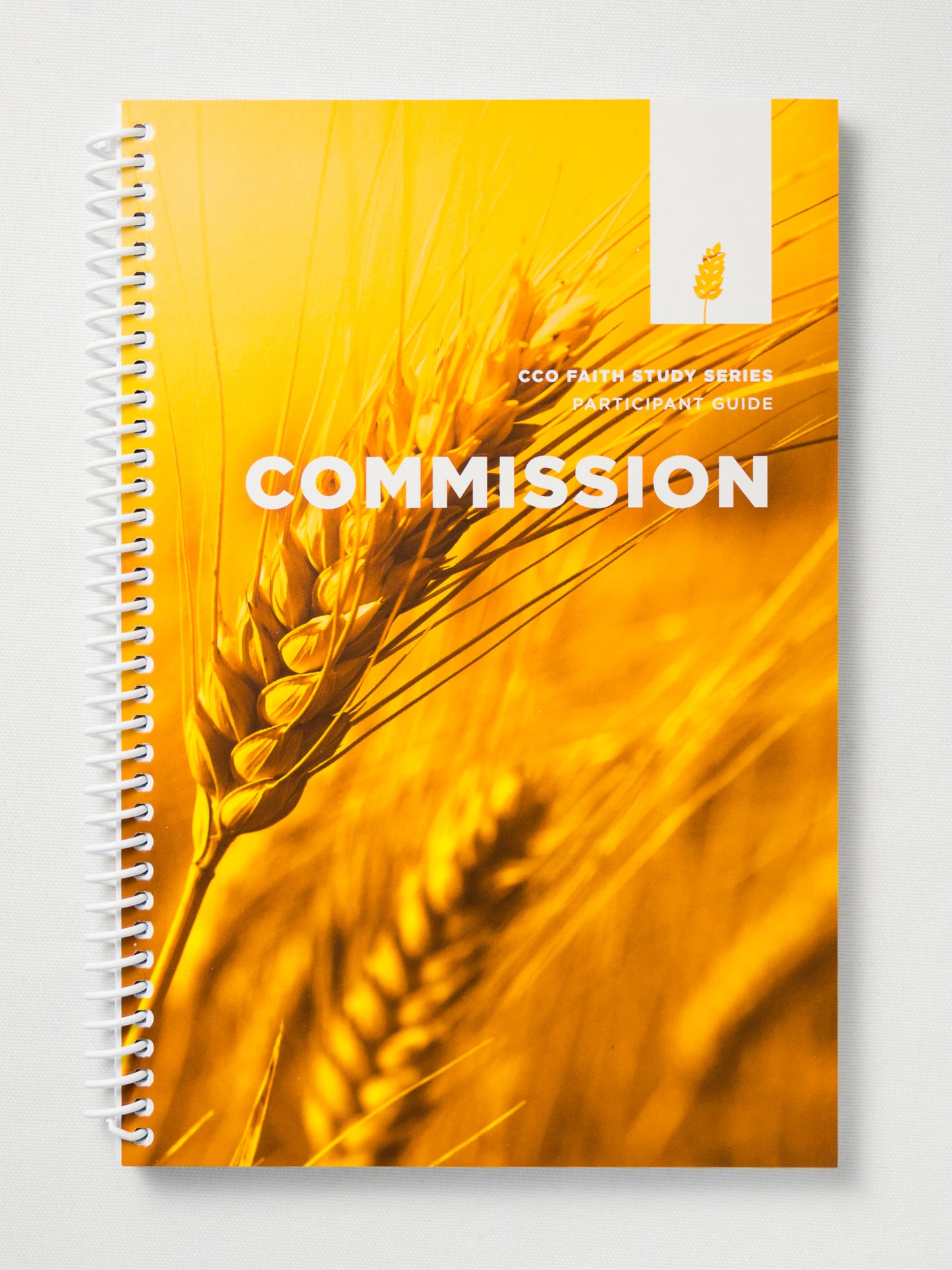 Commission - Leader Guide - English