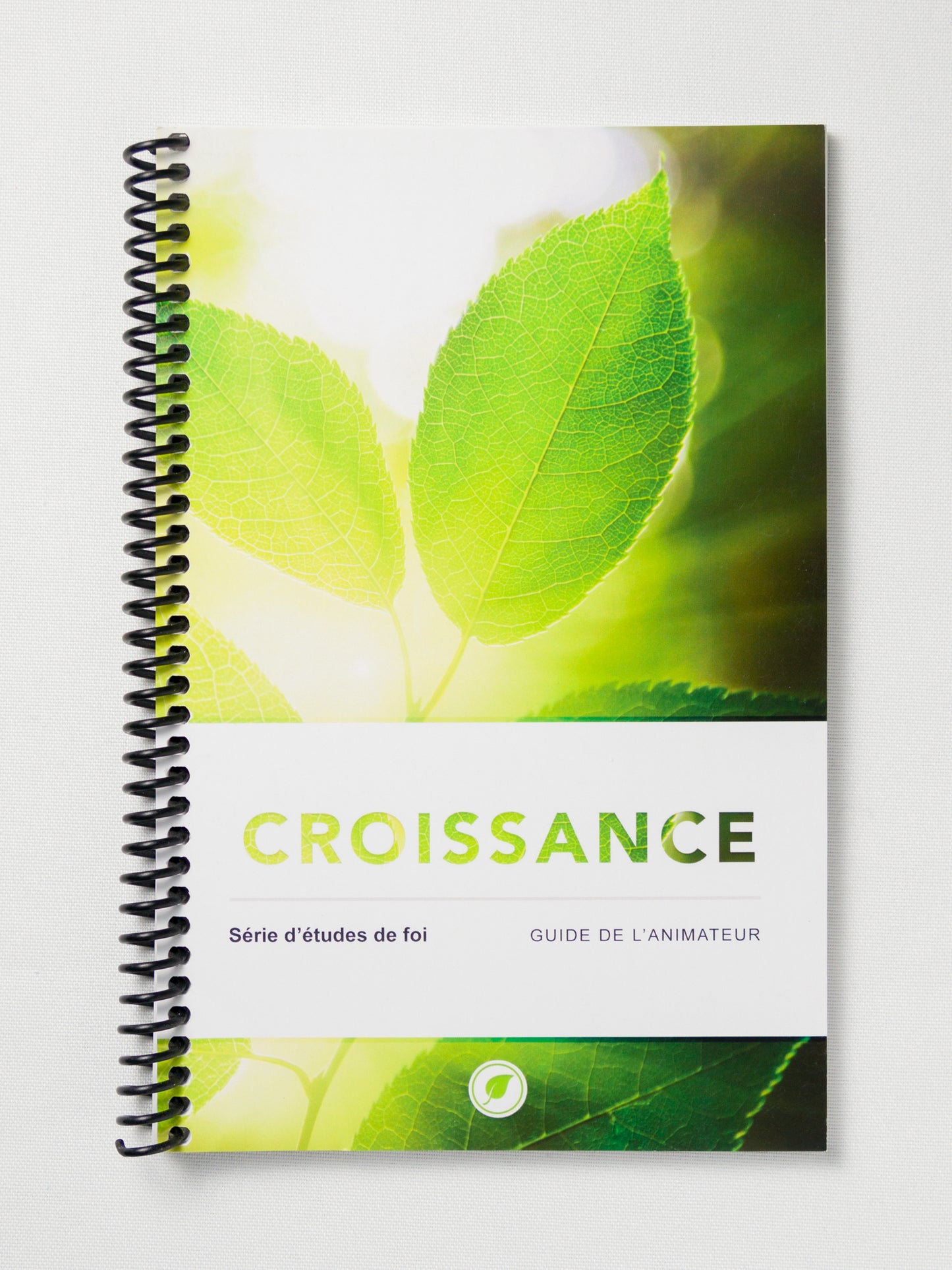 Growth - Participant Guide - Spanish