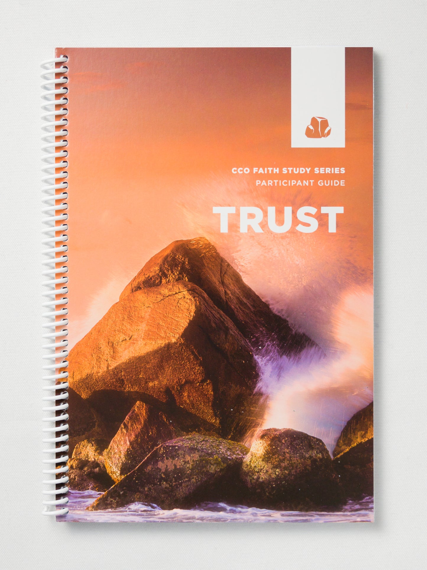 Trust - Leader Guide - English